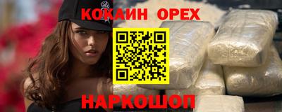 крисы Можга