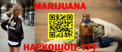 крисы Можга