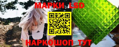 крисы Можга