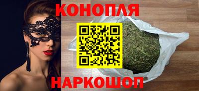 крисы Можга