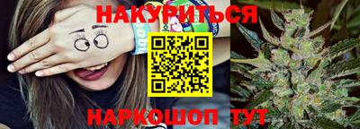 прущие грибы Моздок