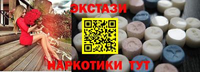 крисы Можга