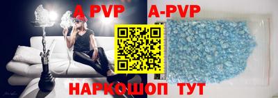 крисы Можга