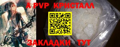 крисы Можга