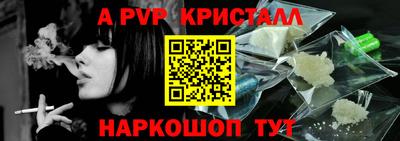 крисы Можга