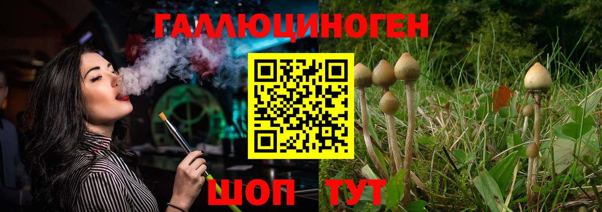 Псилоцибиновые грибы прущие грибы  Вход с VPN  Псилоцибиновые грибы мухоморы  закладка  Трёхгорный 