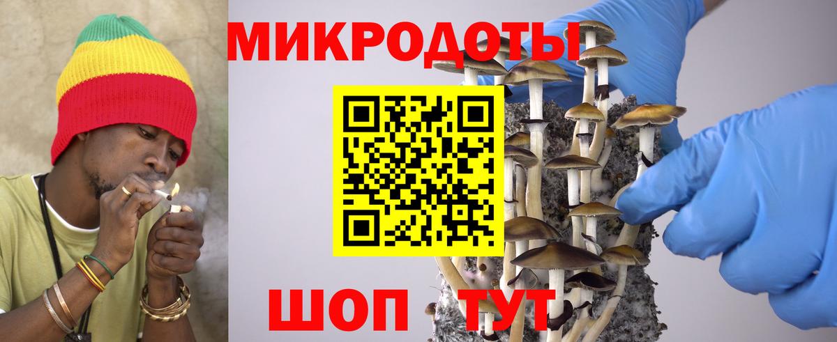 Псилоцибиновые грибы мухоморы Трёхгорный